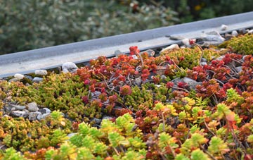 the cost of East Loftus green roof installation
