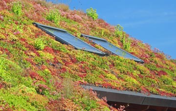 East Loftus living roof systems